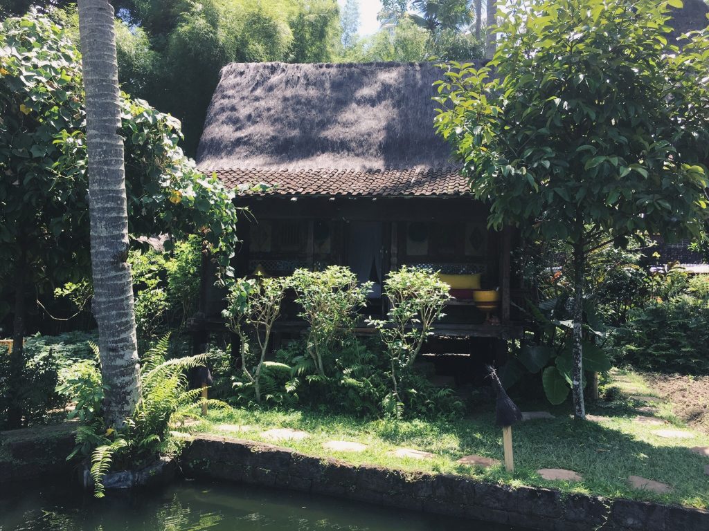 retreat in Bali - Curated by Sisters